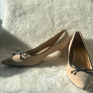 Moving make an offer! Talbots kitten heals